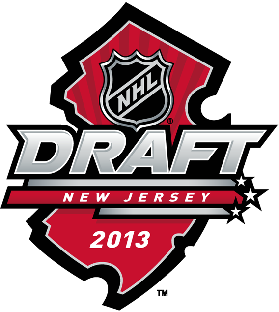 NHL Draft 2013 Primary Logo iron on transfers for T-shirts